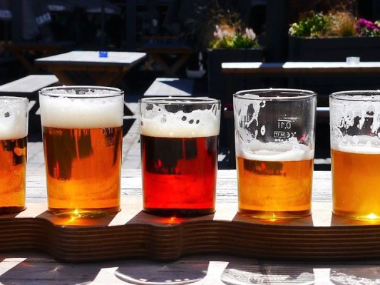 Bira Tüketiminde Dobriç Zirvede: Kişi Başına Yılda 62 Litre