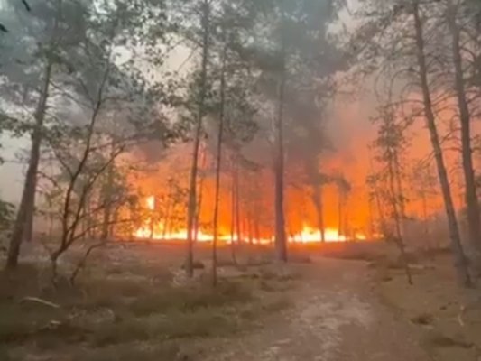 İtalya'da Büyük Orman Yangını: 200 Kişiyi Evacue Edildi