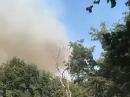 Avrupa Birliği, Sırbistan'da Çölleşen Orman Yangınlarına Yardım Gönderdi
