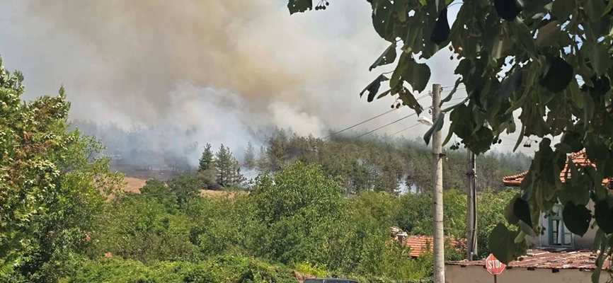 Hisar'a bağlı köyün üzerindeki alevler yakın çam ormanına sıçradı