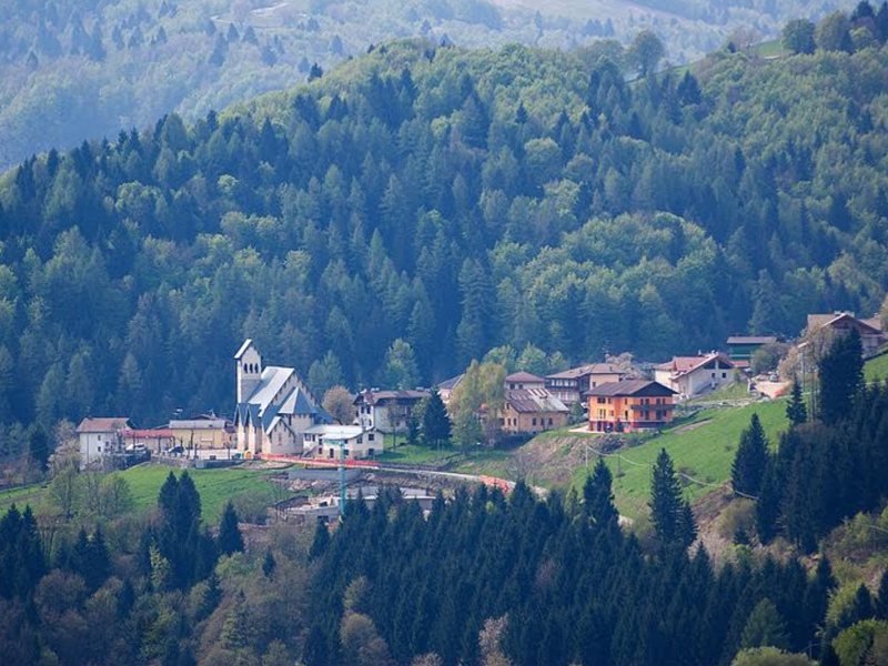 Dünyanın dört bir yanından binlerce Bau ailesi üyesi memleketlerinde buluştu ve bilim için kan bağışladı