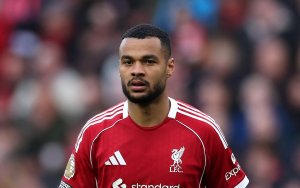 Liverpool'dan Büyük Transfer Hamlesi: Kody Gakpo