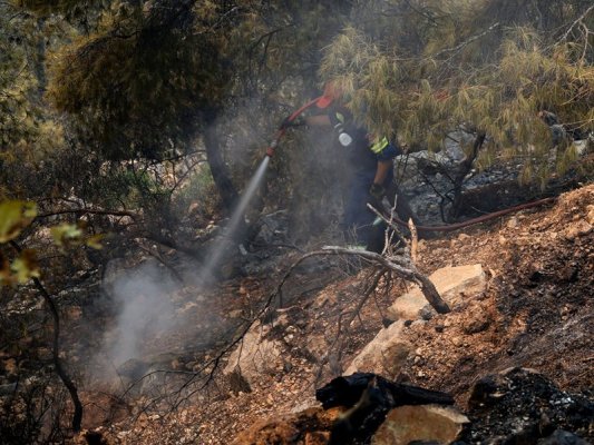 Atina Çevresindeki Orman Yangınları Kontrolden Çıkarak Büyümeye Devam Ediyor