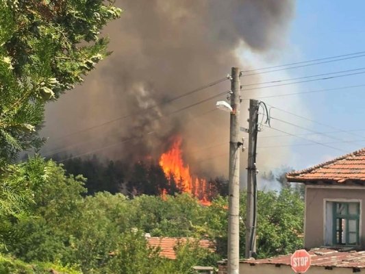 Hisar Bölgesinde Yangın: 9 Ekip ve İş Makinesi Alevlerle Mücadele Etti