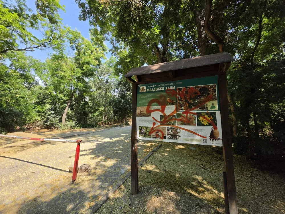 Plovdiv'de Yeni Şiddet Çağrıları: Gençlik Tepesi'nde Skandal Grafitiler