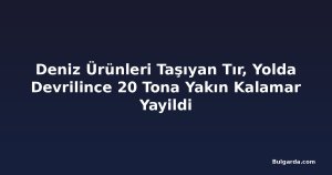 Deniz Ürünleri Taşıyan Tır, Yolda Devrilince 20 Tona Yakın Kalamar Yayildi