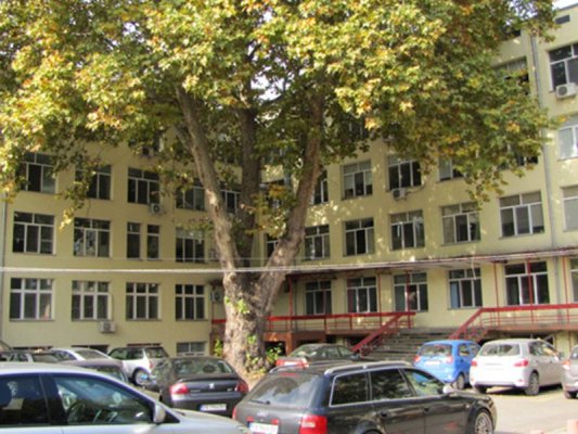 Pazardzhik'te Elektrikli Scooter'dan Düşen 29 Yaşındaki Adamın Hayatı Doktorlar Tarafından Kurtarıldı