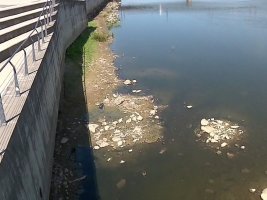 Polonya'da Vistula Nehri Tarihinin En Düşük Seviyesine Geriledi