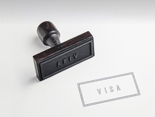 Türkiye'de Schengen Vizesi Skandalı: 49 Kişi Gözaltında