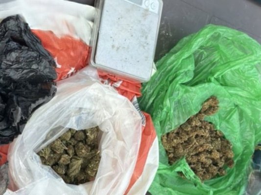 Sopot'ta 30 Yaşındaki Şahıs Esrar Yetiştirip Satarken Yakalandı
