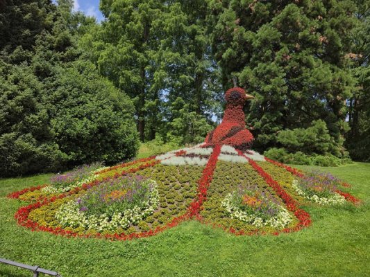 Almanya'da Çiçek ve Kelebek Cenneti: Mainau Adası