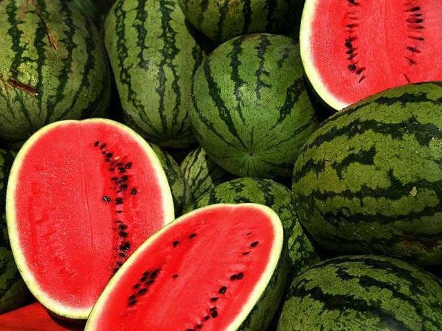Bulgaristan'da Şaşırtan Düşük Fiyatlı Dinia!