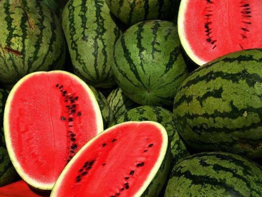 Bulgaristan'da Şaşırtan Düşük Fiyatlı Dinia!