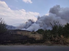 Dupnitsa Yakınlarındaki Yangın 15 Dekarlık Alanı Sarıyor