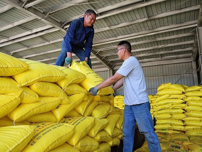 Çin'in Yeni 5 Yıllık Planı: Tarım Kooperatifleri ve Üretimi Güçlendirme