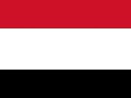 Yemen insan hakları ve özgürlükler ağı: Husilerin bir haftada 958 suçu
