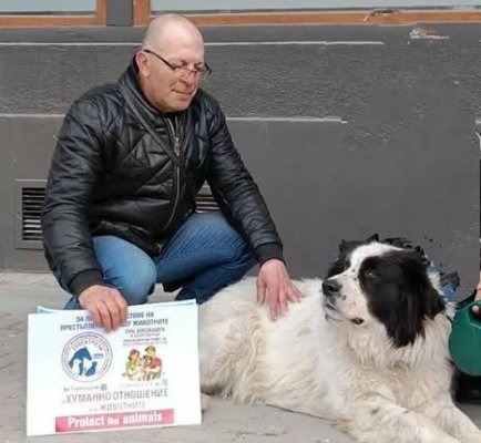 Varna'nın tanınmış gazetecisi ve 'Gospodari na efira'nın eski muhabiri Stefan Kurdov hayatını kaybetti