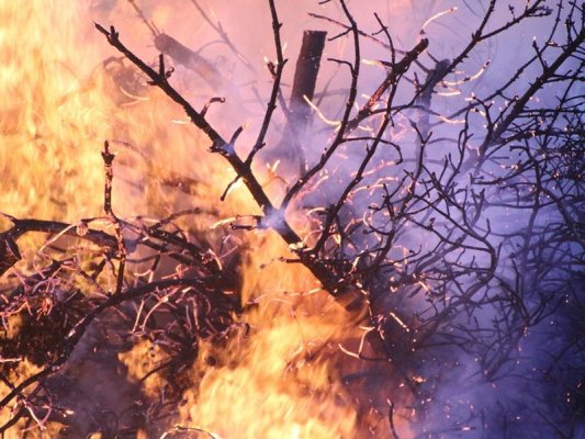 Pervomay'da Terk Edilmiş Bağlar Alev Alev, 11 Ekip Yangına Müdahale Ediyor