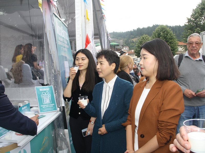 Rodopların Kışel Süt Festivali: Güzellik Yarışması ve Kültürel Etkinlikler