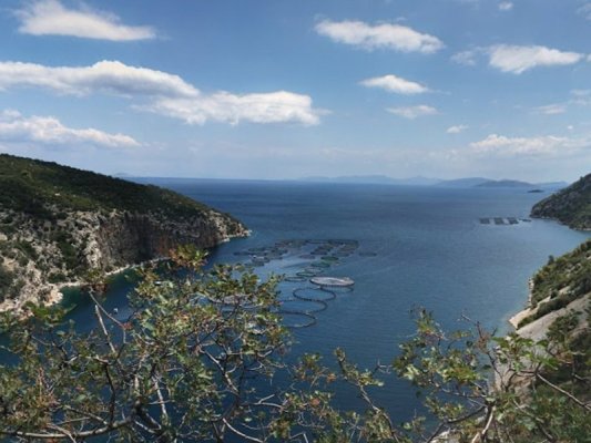 Yunanistan'da Sel ve Yangın: Acil Durumlar