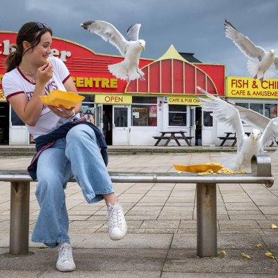 Plajda Yemeğinizi Çalan Martılara Karşı Şaşırtıcı Taktik: Sahte Gözler!