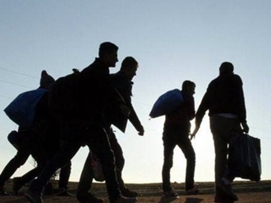 Letonya-Belarus sınırında göçmenler için kaçak tünel bulundu