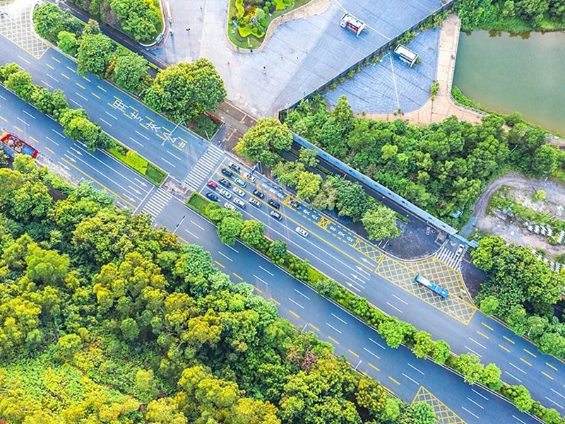 Çin'de 2450 Km Yeni Şehir Yeşil Alanları İnşa Ediliyor