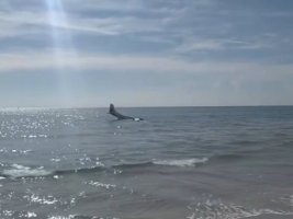 23 Yaşındaki Kadın Pilot, Acil Iniş Yapmak Zorunda Kalır