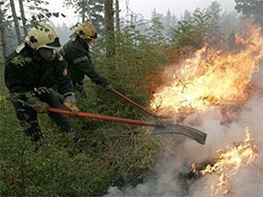 Bulgaristan'da 100 Dekarlik Orman Yangını