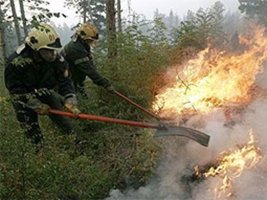 Bulgaristan'da 100 Dekarlik Orman Yangını