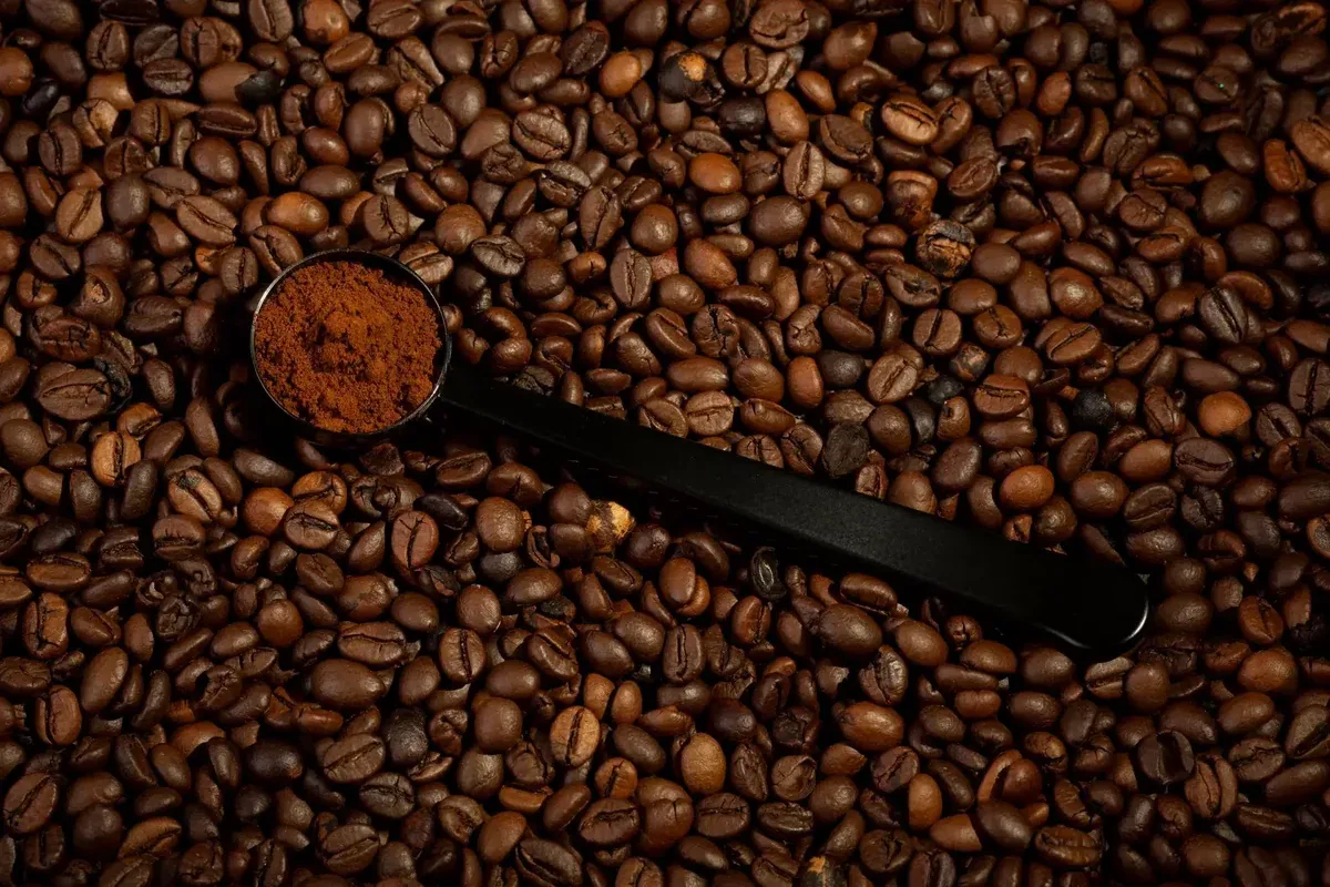 Brezilya'da Kafe Üretimi Şok Yaşıyor