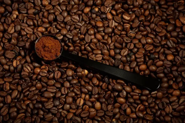 Brezilya'da Kafe Üretimi Şok Yaşıyor