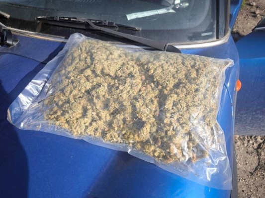 Vraça'da 35 Yaşındaki Bir Erkeğin Dairesinde Esrar ve Kenevir Bitkileri Bulundu