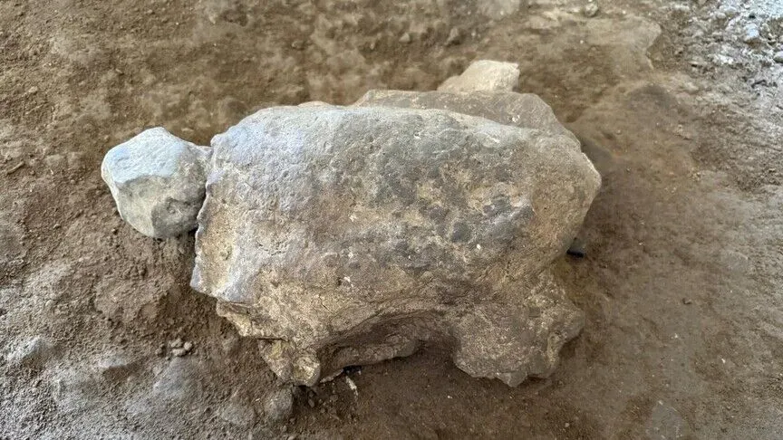 Türkiye'deki Mağaradan 16 Bin 500 Yıllık 25 Gizemli Kaplumbağa Figürü Çıkarıldı