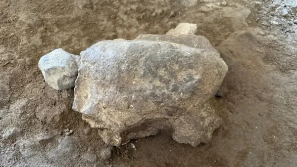 Türkiye'deki Mağaradan 16 Bin 500 Yıllık 25 Gizemli Kaplumbağa Figürü Çıkarıldı