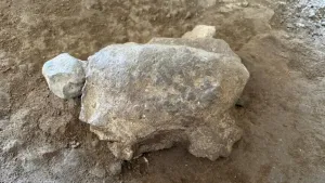 Türkiye'deki Mağaradan 16 Bin 500 Yıllık 25 Gizemli Kaplumbağa Figürü Çıkarıldı