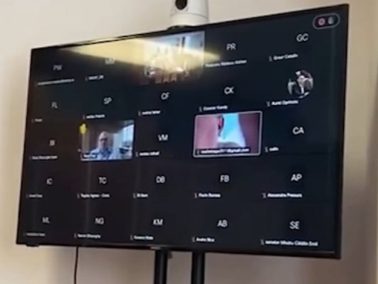 Romanya'da Senatör Online Toplantıda Gömleğini Çıkardı, Meclis Kahkahaya Boğuldu