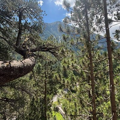 Nikolay Denkov Pirin'de FOTOĞRAF: Kişisel Facebook profili