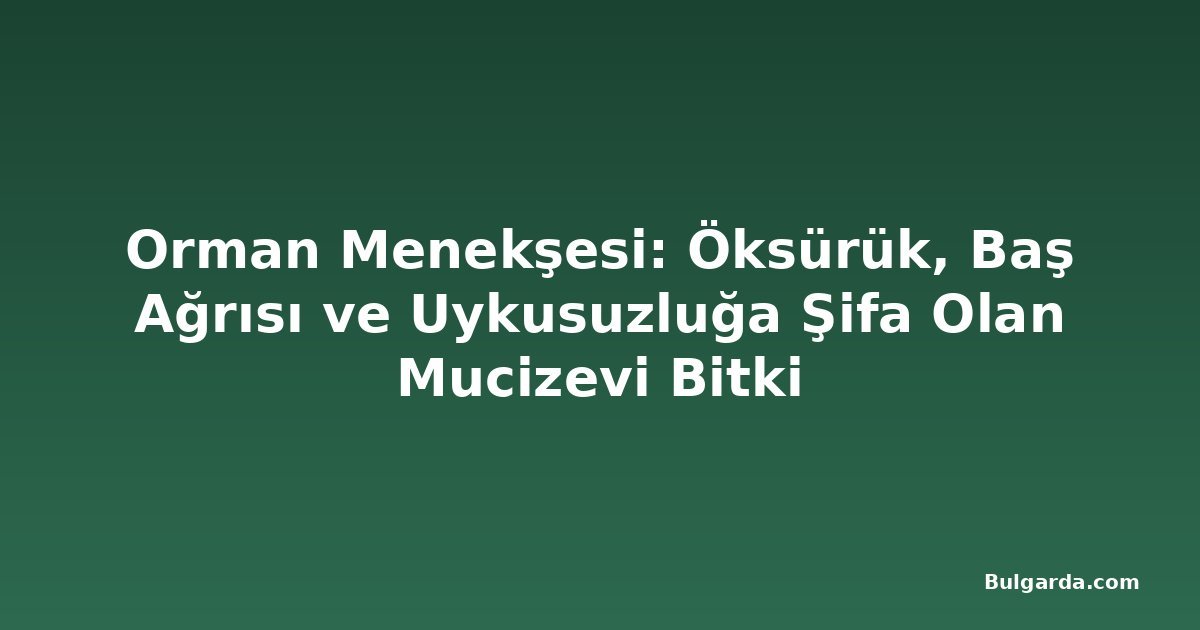 Orman Menekşesi: Öksürük, Baş Ağrısı ve Uykusuzluğa Şifa Olan Mucizevi Bitki