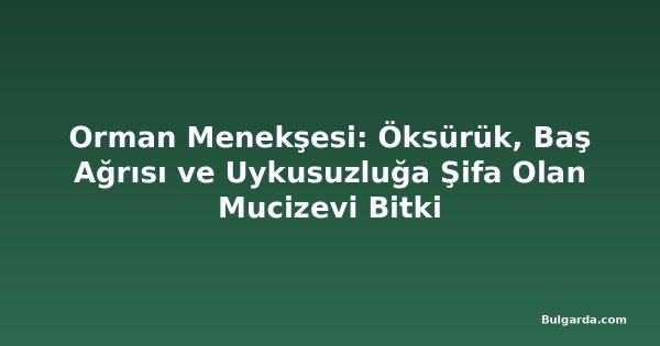 Orman Menekşesi: Öksürük, Baş Ağrısı ve Uykusuzluğa Şifa Olan Mucizevi Bitki
