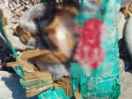 Beyaz Deniz'de İki Kokaın Paketi Bulundu