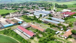 Efsanevi Fabrika Tuna Kıyısındaki Şehri Altınla Donatıyor: Milyonluk Yatırımlar