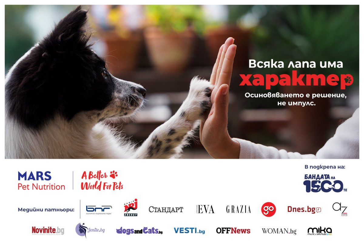 Her Pati Bir Karaktere Sahiptir: Yeni Kampanya Her Köpek İçin En Uygun Sahibi Arıyor