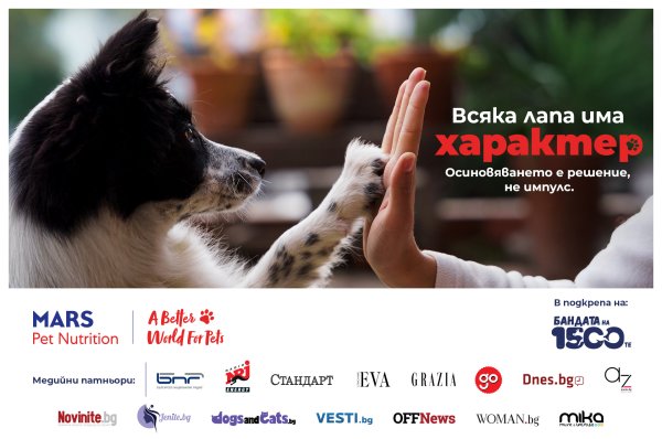Her Pati Bir Karaktere Sahiptir: Yeni Kampanya Her Köpek İçin En Uygun Sahibi Arıyor
