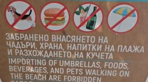 Karadeniz'de Yeni Bir Saçmalık: Plaja Yiyecek ve Su Getirmek Yasaklandı
