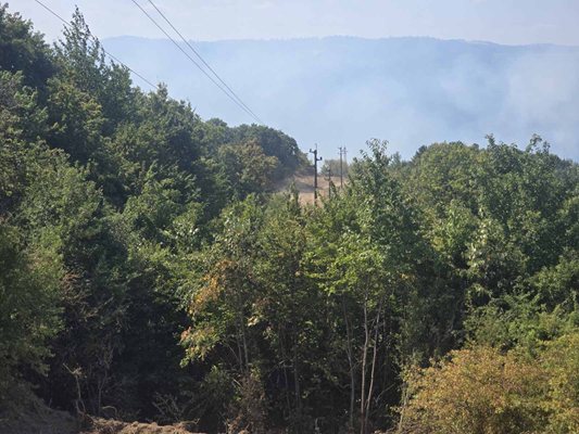СНИМКА: Дима Максимова