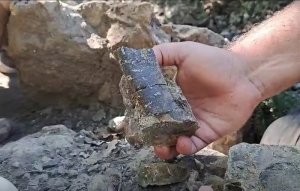 Trn Bölgesinde İnanılmaz Keşif: 83 Milyon Yıllık Dinozor Kemiği Bulundu