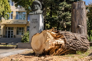 Sofya'da Gagarin'in simge ağacı kesildi, sosyal medya alev aldı
