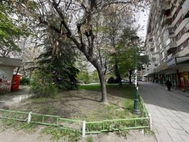Plovdiv'de Yoldan Geçenler Baygın Adama Yardım Etti, Adamın Tepkisi Şaşırttı: "Çöp, Yine mi Beni Kapatacaksınız!"