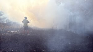 Gorno Sahrane'de Yangın: Sofya-Burgas Tren Seferleri Durdu